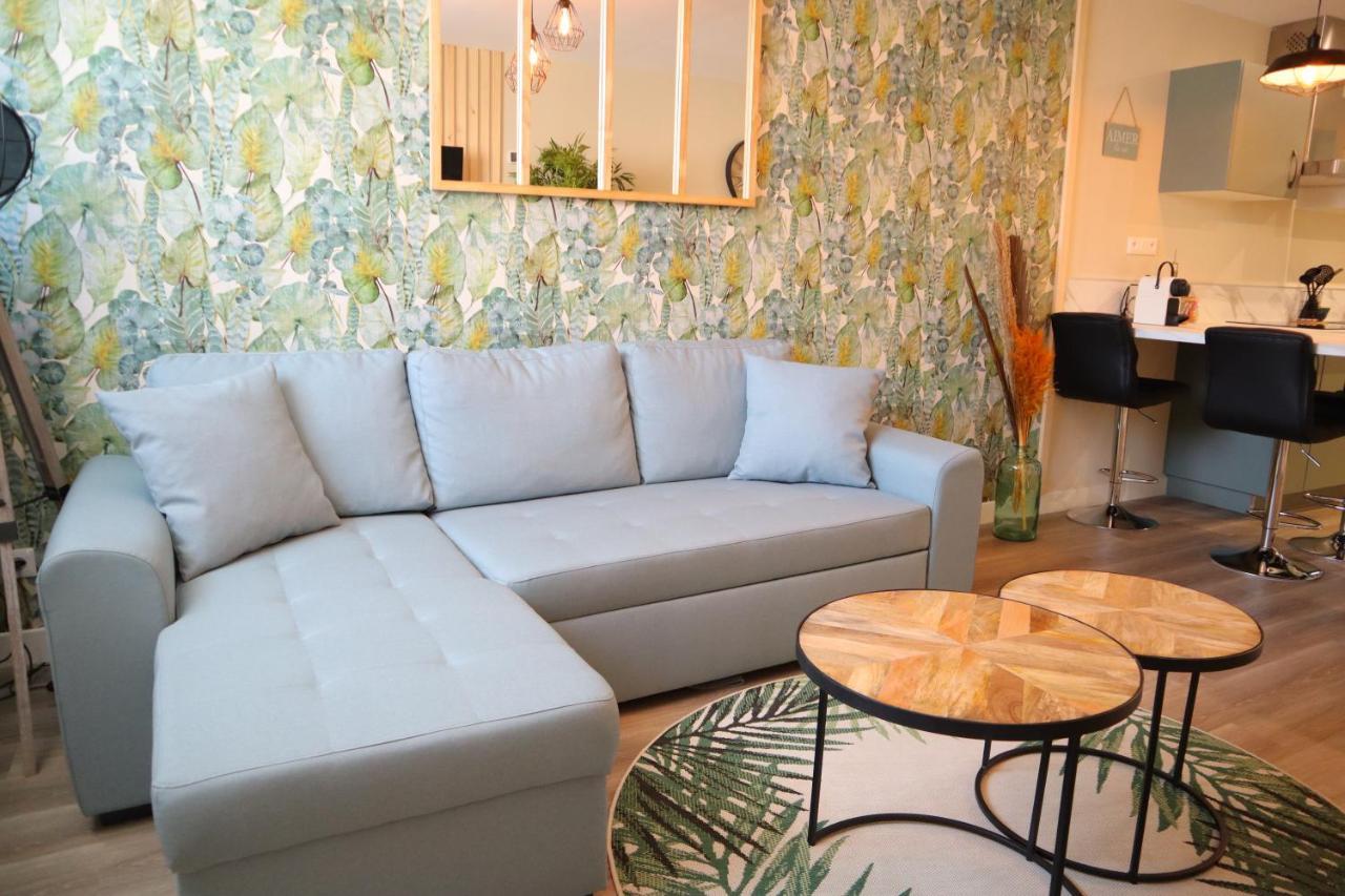 Appartement 1 Chambre Ambiance Tropicale - Centre De Bourbourg, Terrasse Privee Ngoại thất bức ảnh